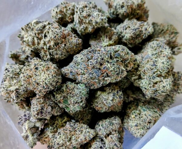 PLATINUM BUBBA