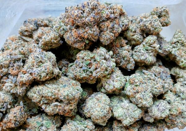BLACKOUT CHERRIES