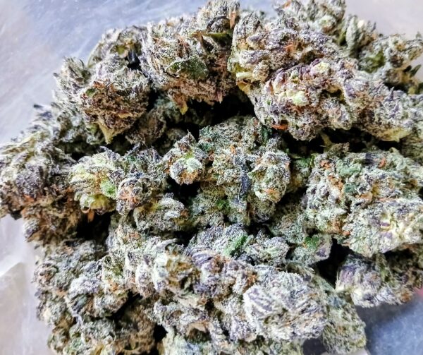 PURPLE TRUFFLE